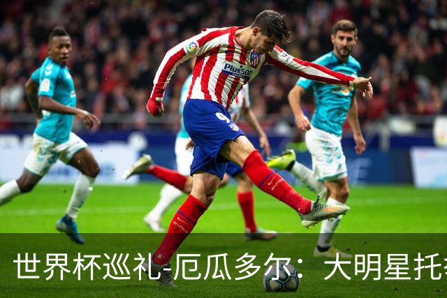 世界杯巡礼-厄瓜多尔：大明星托举小角色，高原雄鹰前景可期！