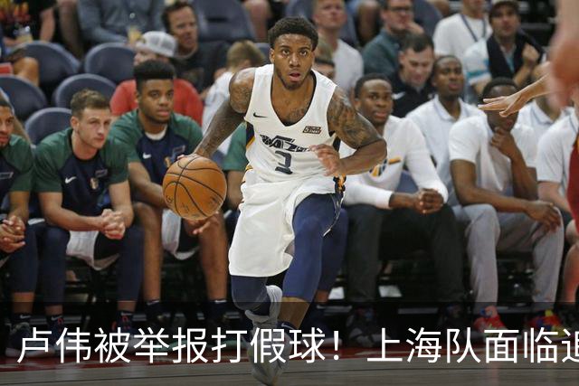 卢伟被举报打假球！上海队面临追罚，张镇麟坑惨球队