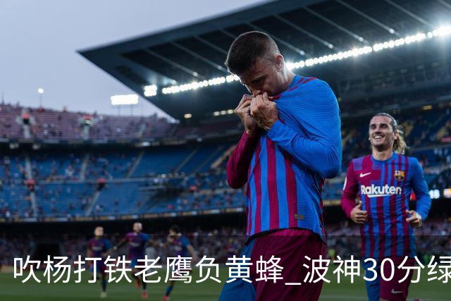 吹杨打铁老鹰负黄蜂 波神30分绿军险胜尼克斯