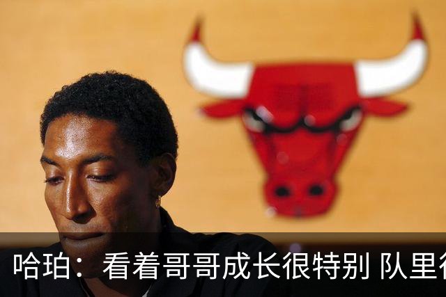哈珀：看着哥哥成长很特别 队里很多老将帮我站稳脚跟
