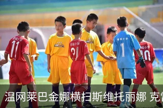 温网莱巴金娜横扫斯维托丽娜 克雷茨科娃首进4强