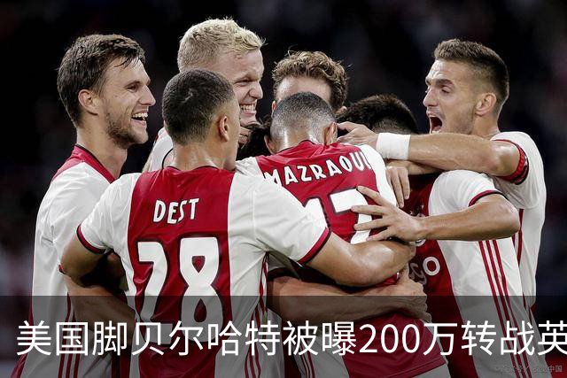 美国脚贝尔哈特被曝200万转战英冠 与前队友重聚 其父曾执教美国队